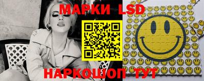 гидропоника Будённовск