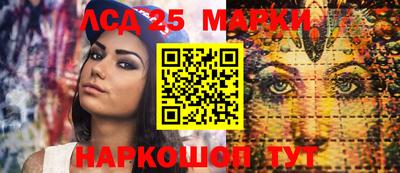 гидропоника Будённовск