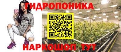 гидропоника Будённовск