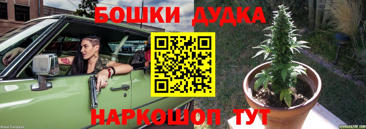 Бошки марихуана конопля  Вход с VPN  Каннабис индика  Бошки Шишки Amnesia  Щёкино  МАРИХУАНА планчик 